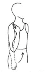 Exercise 5.png