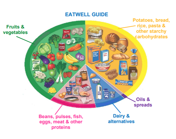 eat well plate.png