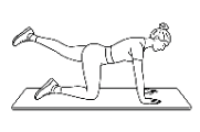 Bird Dog with Leg Extension 2.png