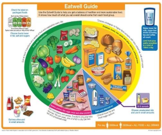 eatwell guide.png