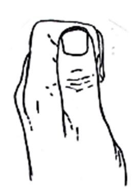 This image shows how to complete the exercise.