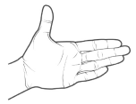 Thumb extension.png