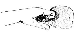 flexing the fingers 1.png