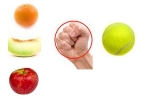fruit portion size.jpg