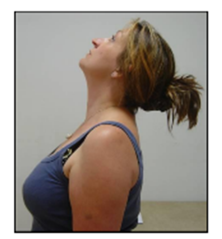 neck extension.png