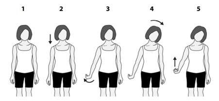 radial nerve glide.png