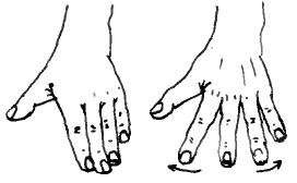 Finger and thumb span.png