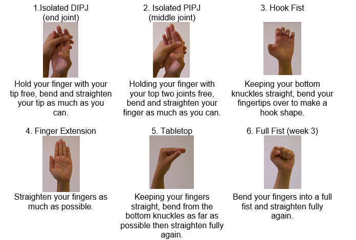 PIPJ exercises.png