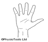 wrist 6.png