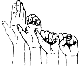 arm 1.png