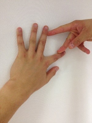 Wide span.jpg