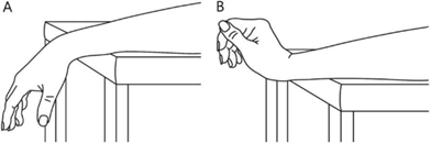wrist flexion and extension.png