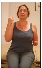 elbow flexion and bicep curl.png