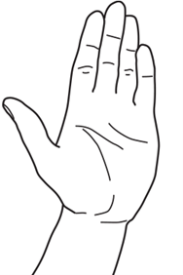 CT 1.png
