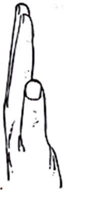 This image shows how to complete the exercise.