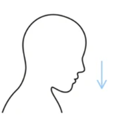 NF.png