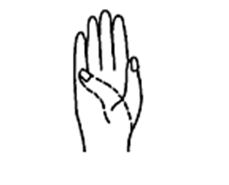 This image shows how to complete the exercise.