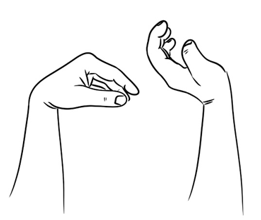 active wrist flexion and extension.png