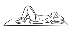 Pelvic Tilt in Crook Ly.png