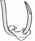 tubing4.png