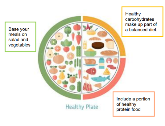 healthy plate.png