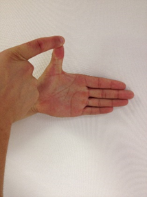 Hand exercise 1.png