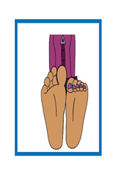 feets.png