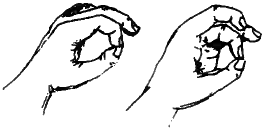 OPPOSING THE FINGERS.png