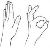 THUMB OPPOSITION.png