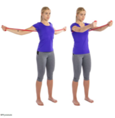 chest press.png
