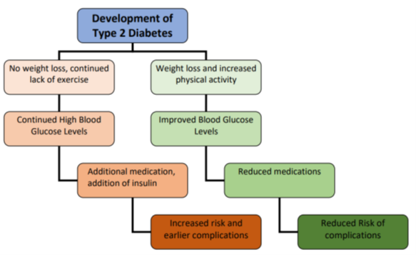 picture of a development of diabetes chart