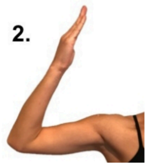 arm 2.png
