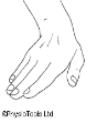 wrist 4.png