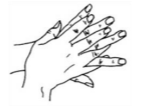 palm to palm with fingers.png