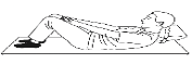Abdominal crunch 1.png