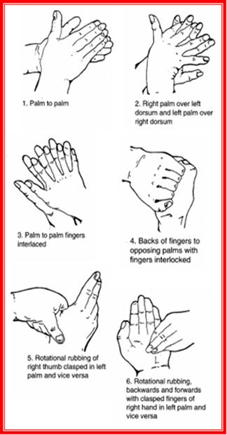 How to wash your hands.png