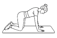 Bird Dog with Leg Extension 1.png