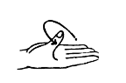 This image shows how to complete the exercise.