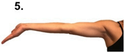 arm 5.png