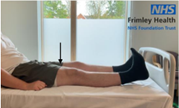 tp physio 1.png
