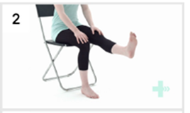 seated leg extension 2.png