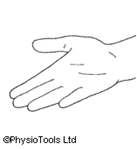 wrist 3.png