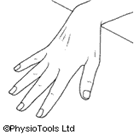 wrist 2.png