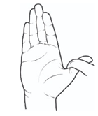 Thumb extension.png