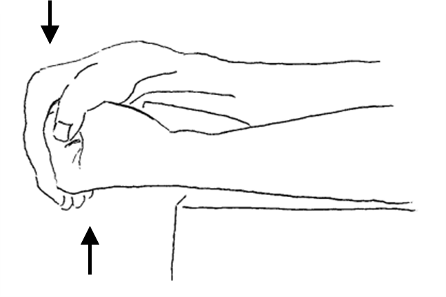 flexion.png