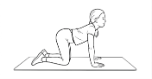 Cat Cow in Four-Point Kneeling  2.png