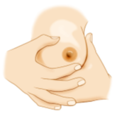 Hand Express Milk.png