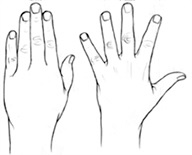 8.png