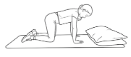 Cat Cow in Four-Point Kneeling 1.png