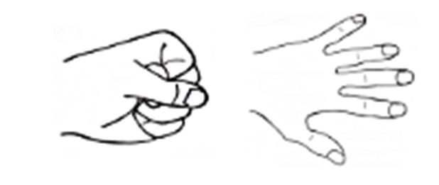 This image shows how to complete the exercise.